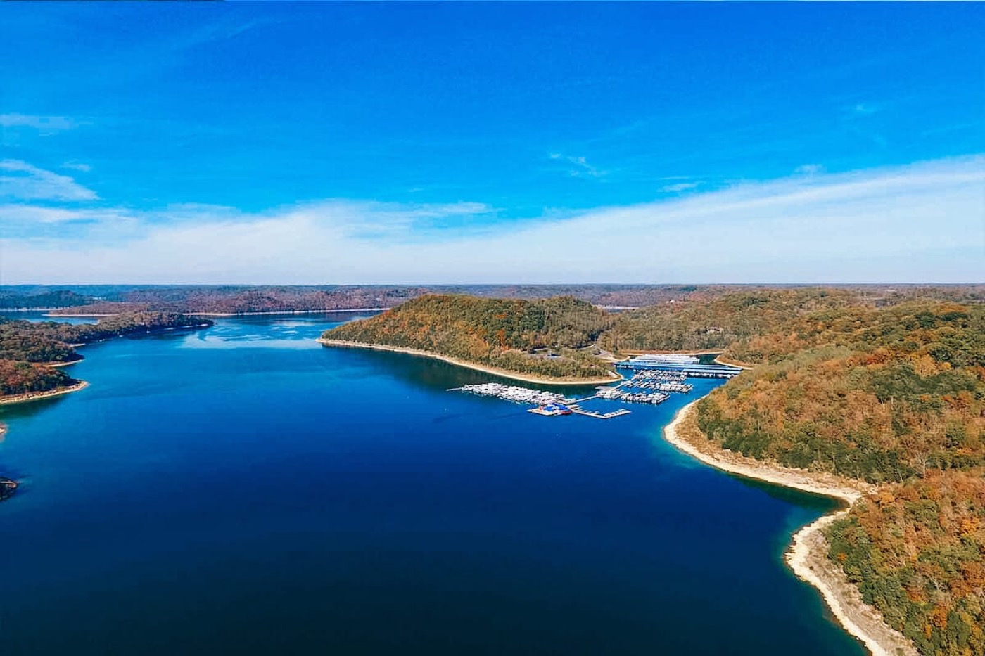 Boats gathered on the wooded shoreline of Center Hill Lake
