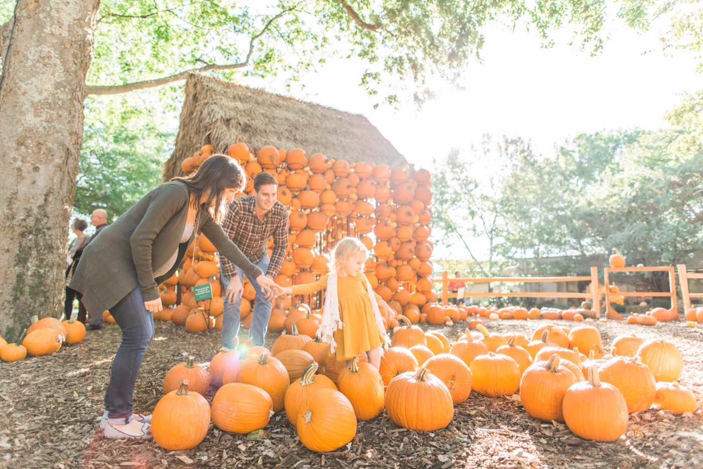 A family exploring pumpkins at a Tennessee fall festival