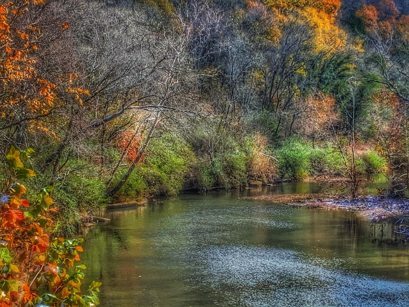 Color gathers around the water