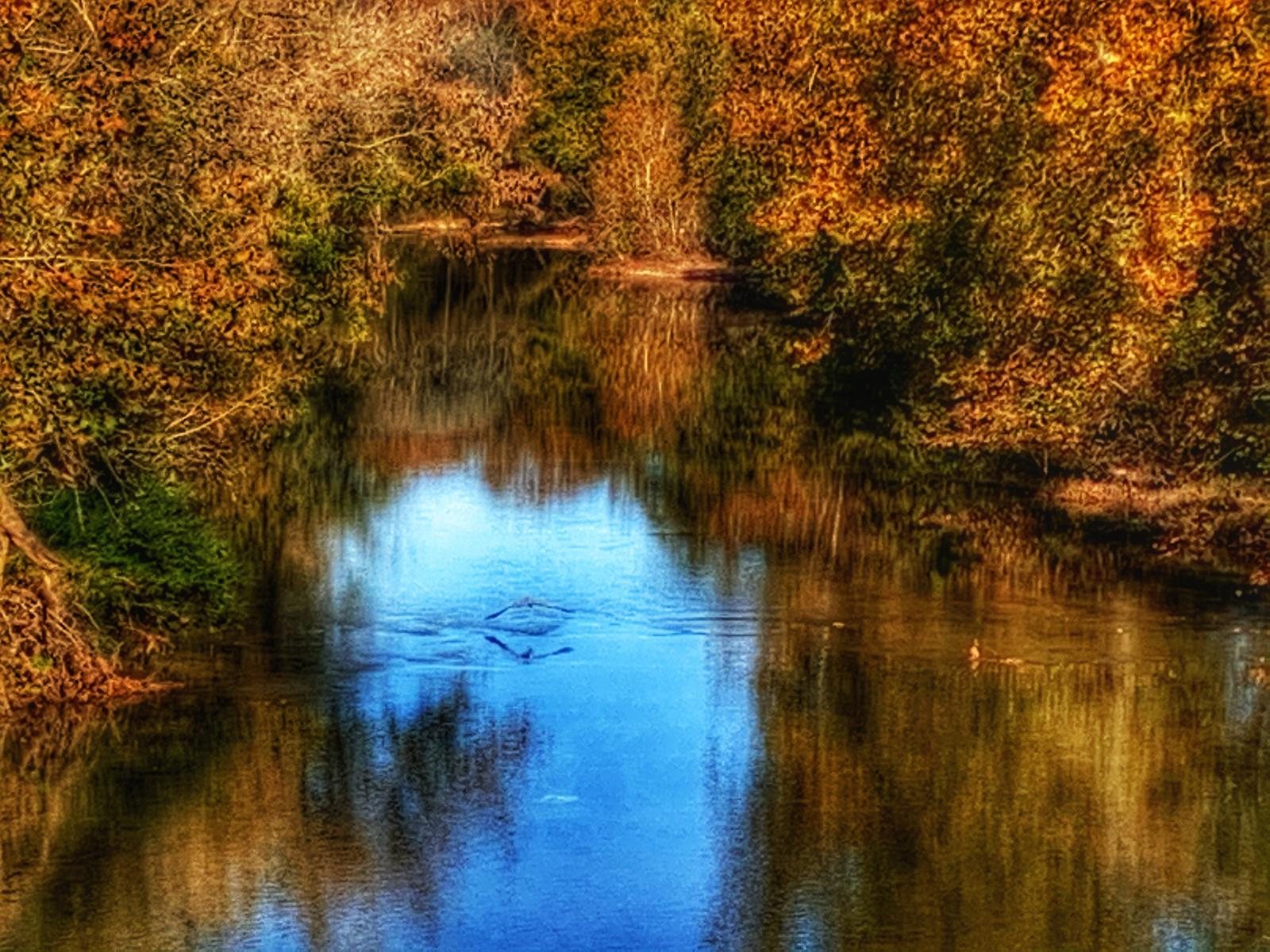 Autumn trees reflected in still water