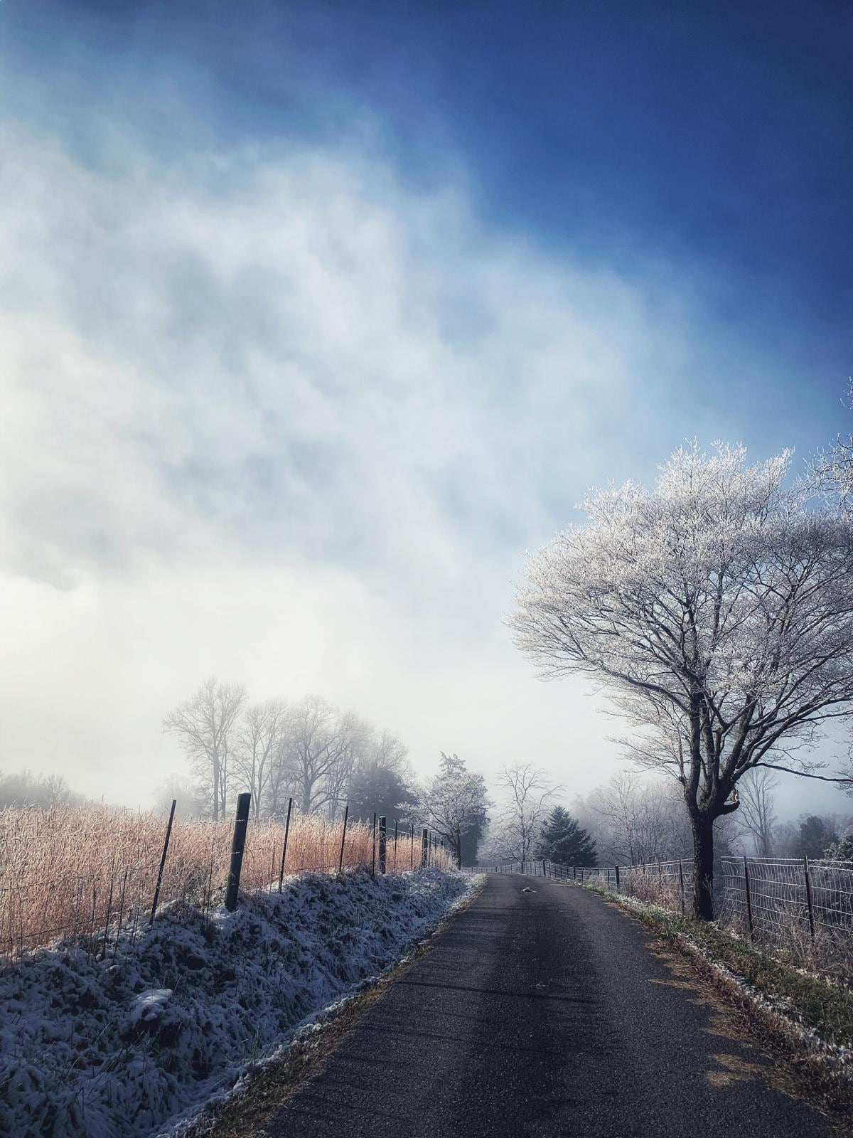Quiet Tennessee farm landscape in morning fog