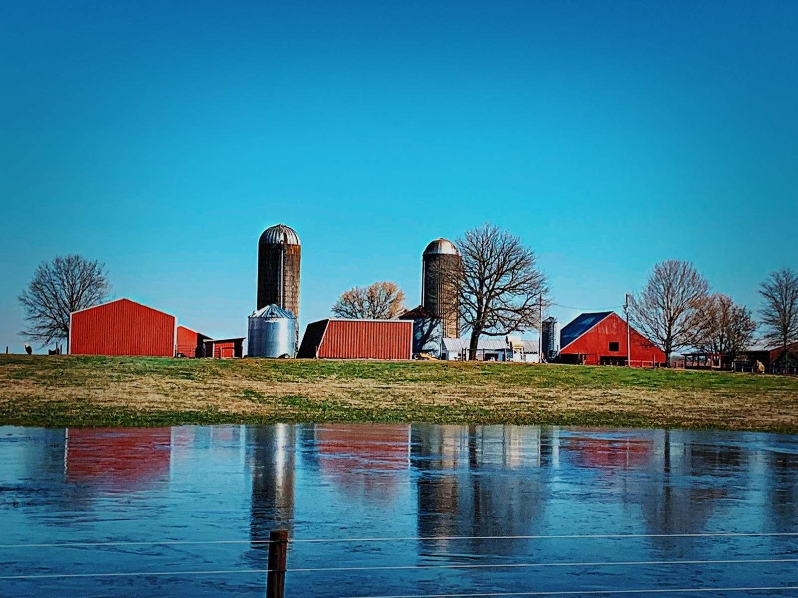 Red barns and silos beside a quiet pond