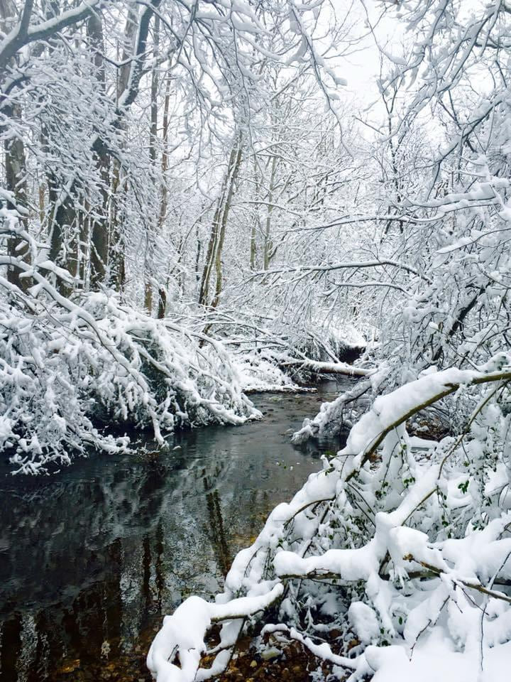 A narrow creek winding through a snow-covered forest
