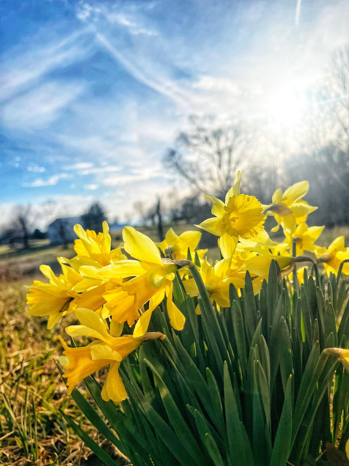 Spring returns quickly