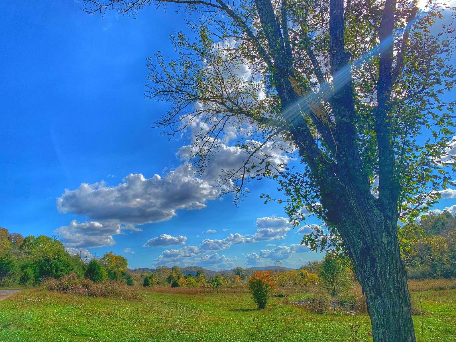 Green hills beneath a bright spring sky